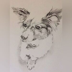 Custom Pet Portraits 🎨🐾
Made Just for You 💕